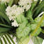 Plante de 72 po