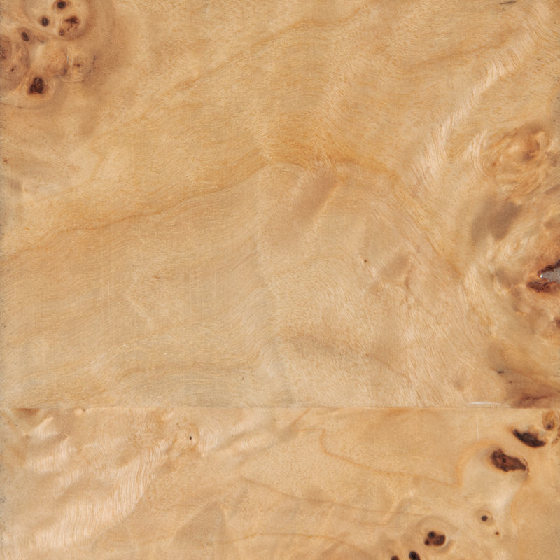 Mappa Burl Brown Rectangular Cocktail Table with Bronze Leaf Finish