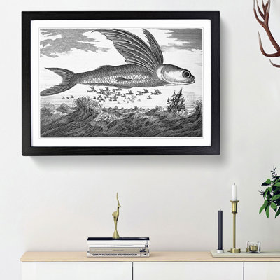 Flying Fish by Thomas Astley - Framed Print