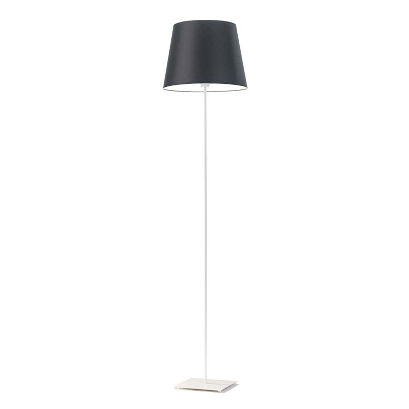 Asauni 162.5cm Traditional Floor Lamp, Black, White