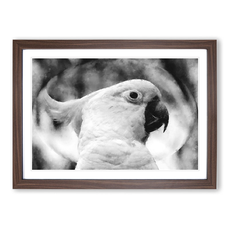 Cockatoo Bird Vol.2 - Picture Frame Graphic Art, Walnut Framed, 36cm H x 48cm W x 2cm D