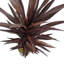 85Cm Artificial Yucca Plant in Pot