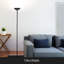 SkyLite 65 in. Industrial LED Floor Lamp with Dimmer