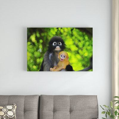 " Dusky Leaf Monkey Mother With Baby "