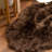 Diller Dark Brown Faux Fur Machine Washable Shag Fluffy Area Rug-1531317380