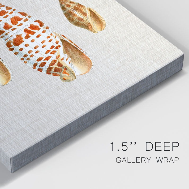 Antique Shells on Linen I - Ensemble de 3 peintures sur toile tendue, H 36 po x l 24 po x P 1 po