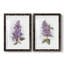 Impression encadrée Awash In Lilac I-Premium - prêt à être accroché-356478987-356478985