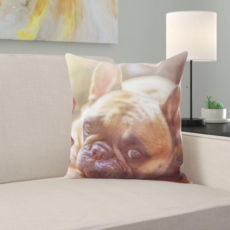 Coussin pour chien