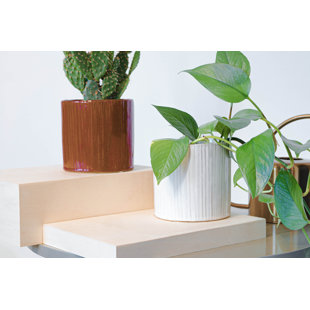 Ceramic Plant Pot