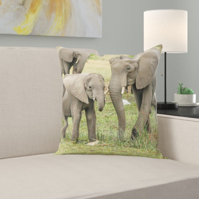Microsuede Throw Pillow