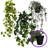 Faux Ivy Plants in Pots