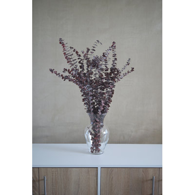 Preserved Eucalyptus Stems