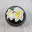 Boîte décorative Kleiber Plumeria