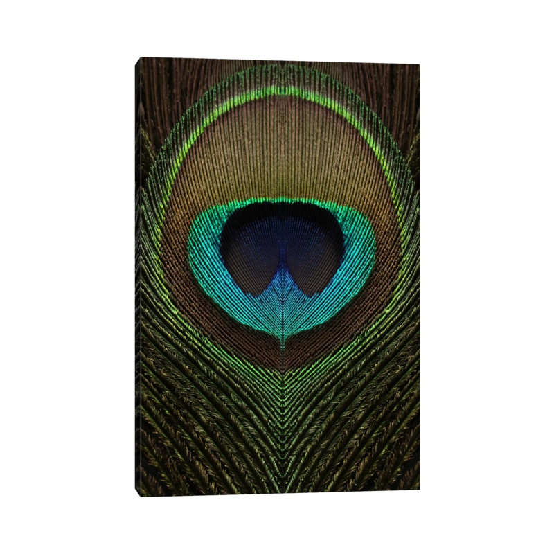 Peacock Feather Symmetry III by Alyson Fennell - Wrapped Canvas Print, 20.32 cm H x 30.48 cm W