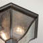 Trembley 2 - Bulb