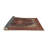 Oriental Indoor Rug-1682460770