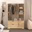 Armoire moderne en bois à DEL avec miroir et 2 tiroirs, tablettes réglables pour un rangement et une esthétique améliorés