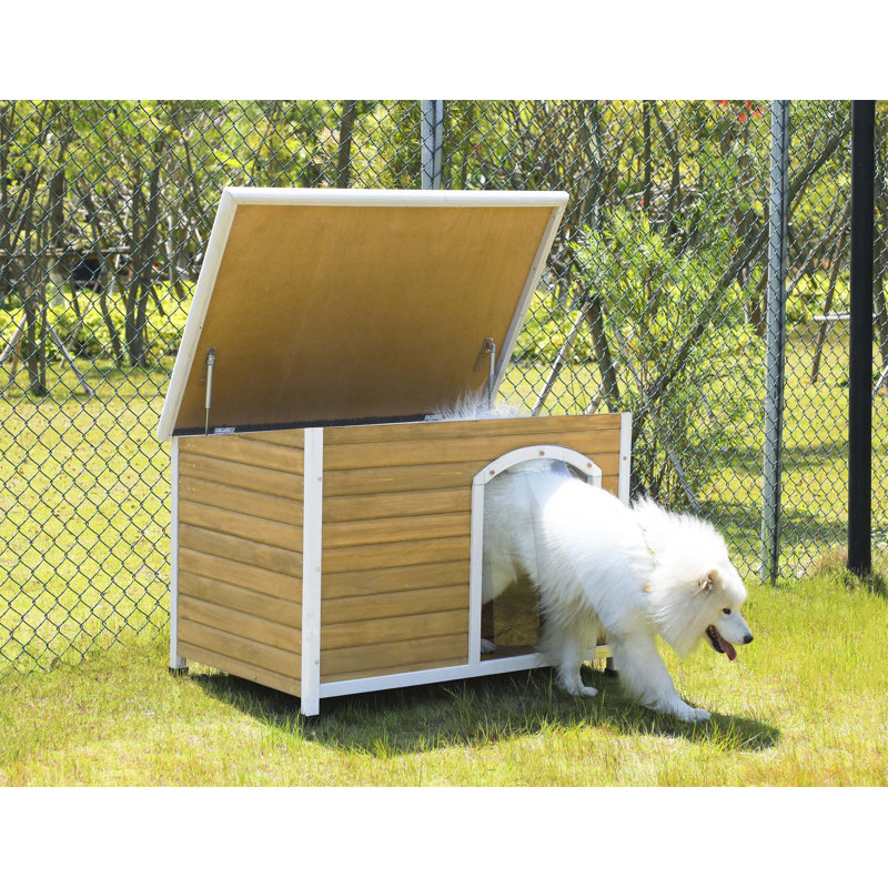 Niche pour chien exceptionnelle avec caractéristiques avancées pour le confort des animaux de compagnie
