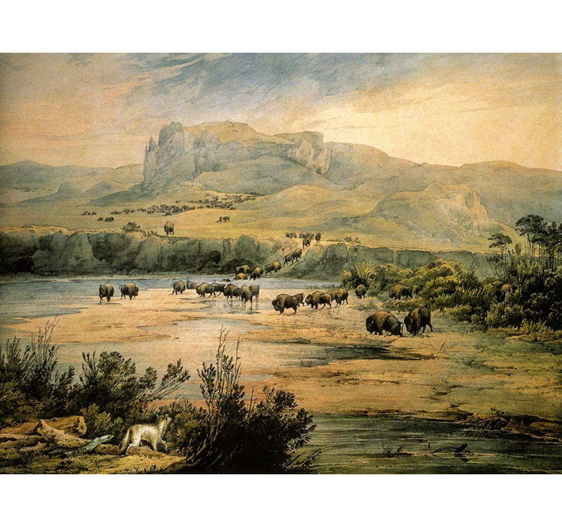 Alcott Hill® Bodmer, art sur toile tendue par la galerie Karl: Paysage avec des buffles dans le Missouri supérieur