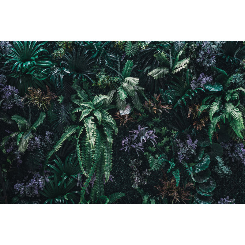 Beautiful Nature Background Of Vertical Garden - Wrapped Canvas Print, 30cm H x 46cm W 