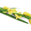 Silk Iris Arrangement-31151100-31151102
