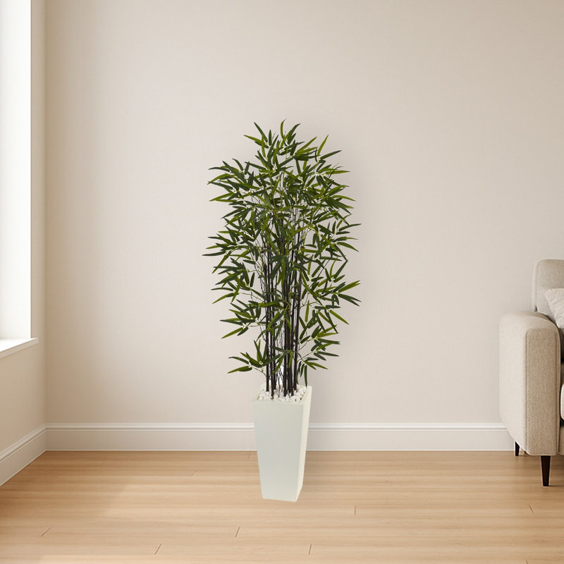 Bamboo Tree in White Tower Planter