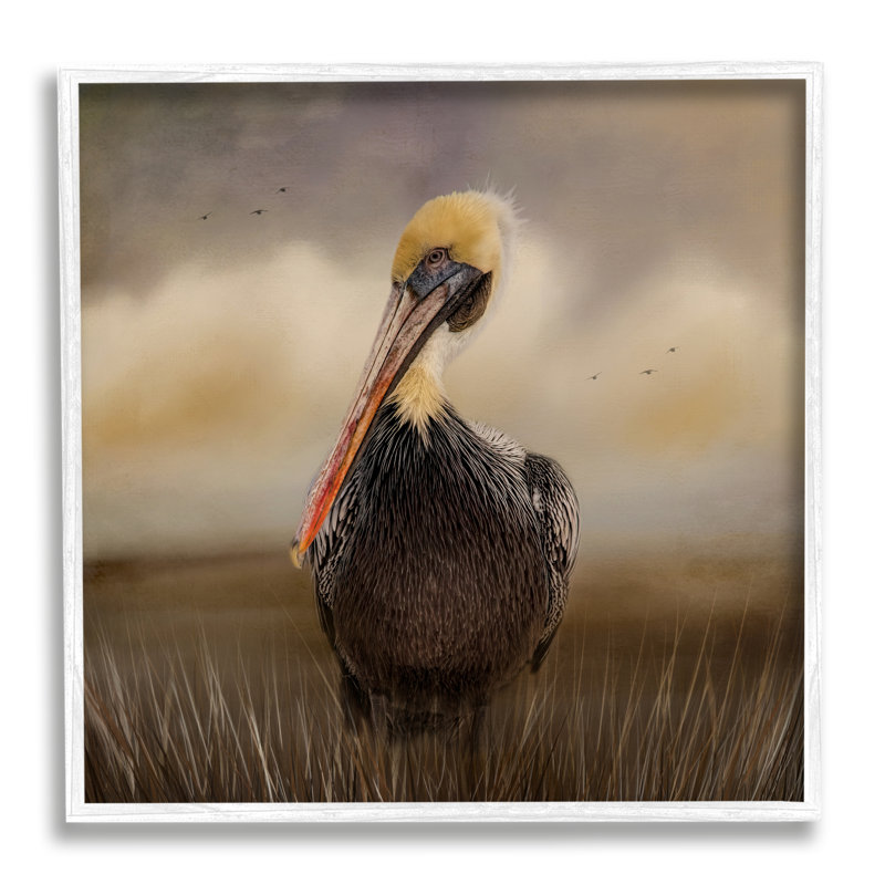 Pélican nuageux, ciel naturel, faune - photographie, H 12 po x l 12 po x P 1,5 po, Giclée encadrée blanc bord de mer