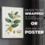 Turpin Tropical Botanicals V - Impression sur toile seulement - NON-CADRE-117753323