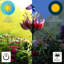 Piquet de jardin Ayzlin