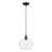 Donivin 1 - Light Single Pendant-450783226