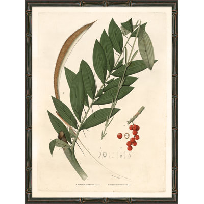 Palm Fronds Giclee Print by Soicher Marin Archives