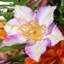 18" Flower Assortment