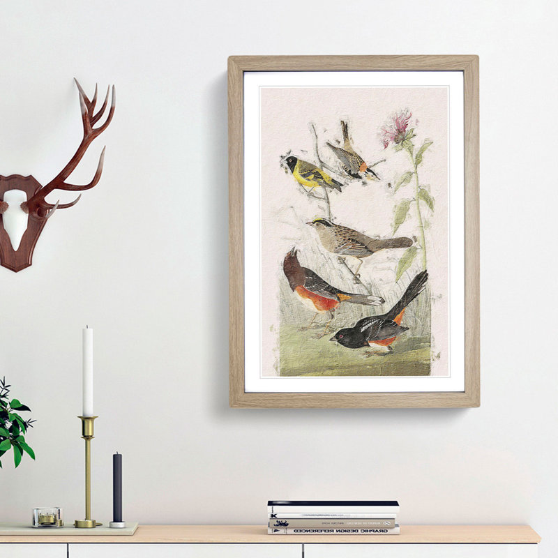A Selection of Birds by John Audubon - Picture Frame Painting Print on Paper, 33cm H x 24cm W x 2cm D, Oak Framed