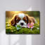 Chiot en verre trempé, art mural-131266514