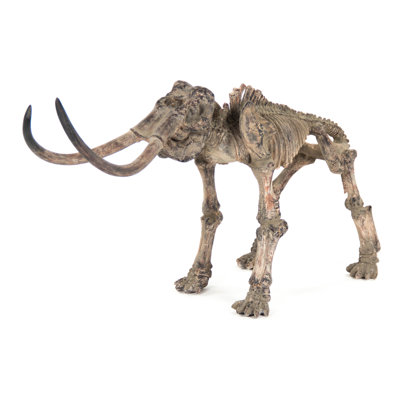Décoration murale squelette mammoth