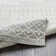 Narine Machine Woven Grey/White Indoor Rug