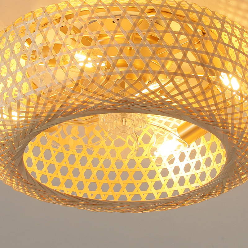 Ventilateur de plafond en cage avec ensemble d'éclairage et télécommande Anlaug 20 po Boho