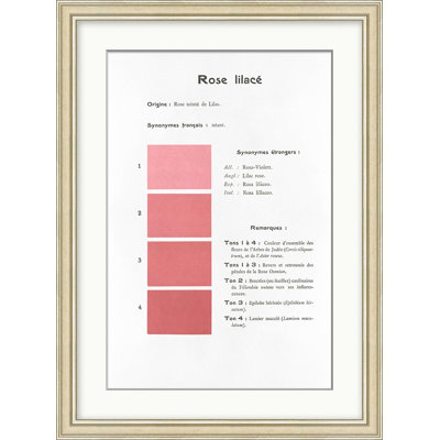 Pink 3 Framed Print