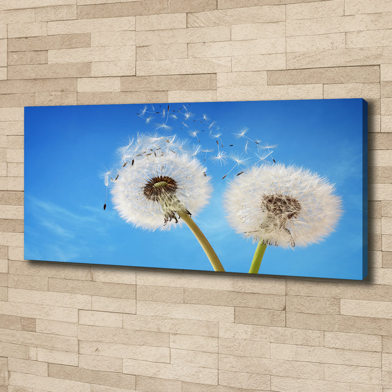 Dandelions - Wrapped Canvas Print