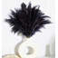 Plante grimpante 17 po Atalaya-1329839818-1329839831