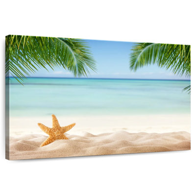 Étoile de mer tropicale Alvord