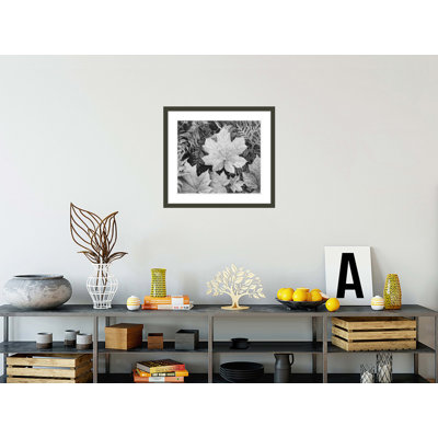 «In Glacier National Park» par Ansel Adams, impression giclée sur cadre
