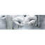 Grayscale Flowers - Framed Matted Print for Office Decor