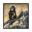« papillons », reproduction de photo sur toile-29479743-73649375-73649376