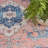 Oriental Indoor Rug-539170369