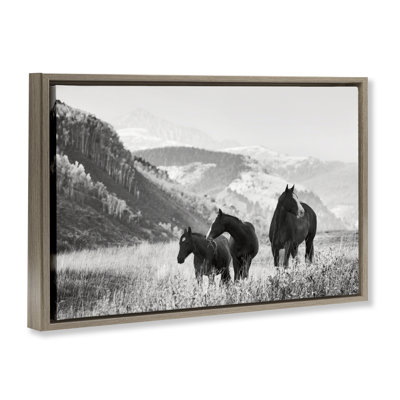 «Horse Trio on Mountainside», art mural encadré par Danita Delimont