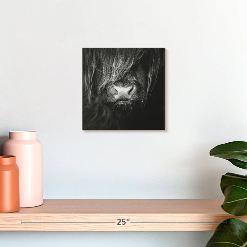 Visage de vache Brampt Highland, H 10 po x l 10 po
