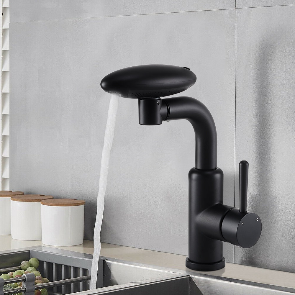 Belfry Kitchen Pull Out Kitchen Faucet
