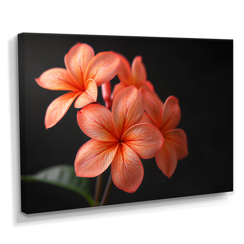 Décoration murale Kinsman - Plumeria, H 16 po x l 32 po x P 1 po, Toile tendue