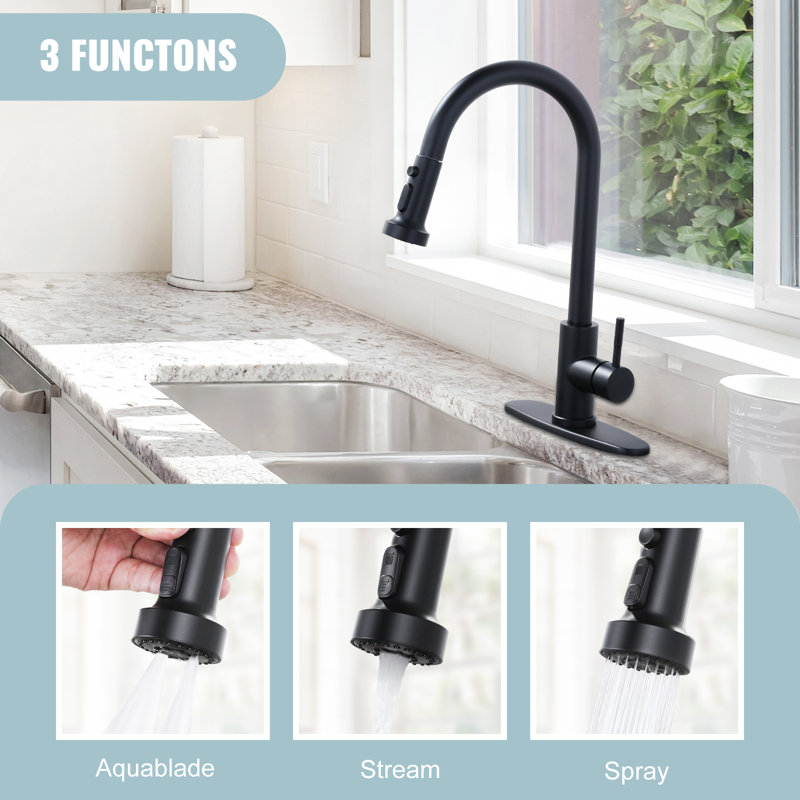3 Function Kitchen Faucets Head Replacement With 9-Adapters, Matte Black